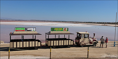 el tren a la sal.jpg